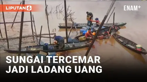 VIDEO: Sungai Tercemar di Musi Banyuasin Jadi Sumber Mata Pencaharian Warga