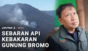 Kebakaran Jemplang Imbas Api Gunung Bromo Berangsur Padam, Petugas Tetap Siaga