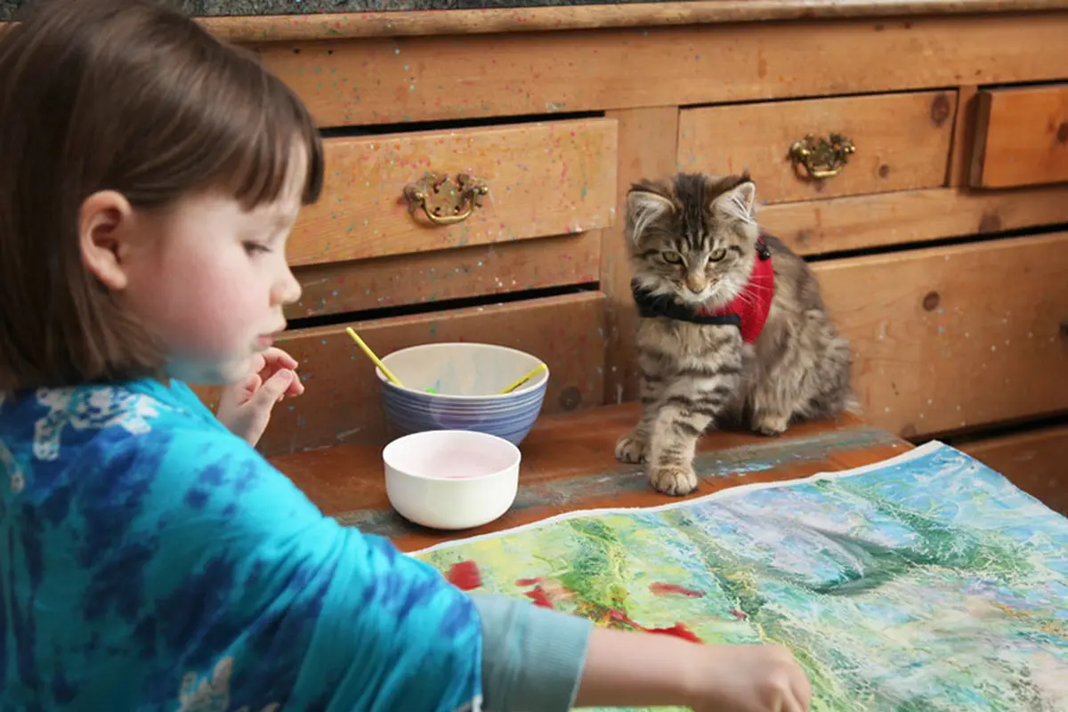 [Bintang] kisah kucing autisme 