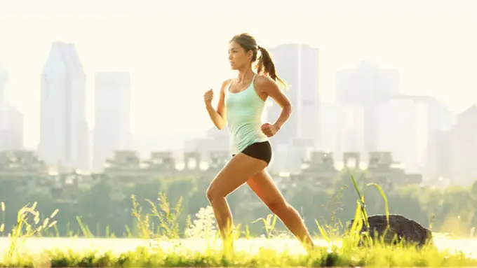 Copyright by shutterstock.com