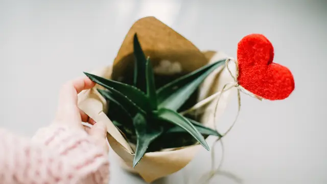 ilustrasi tips membuat nata de coco/Daria Shevtsova/pexels