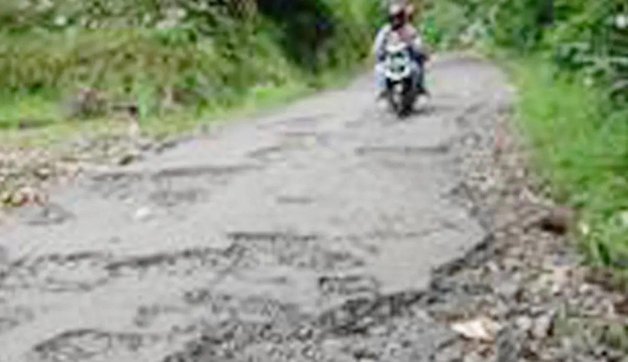 Citizen6: Jalan pedesaan masih banyak yang rusak. (Pengirim: Rudy Ardiansyah)