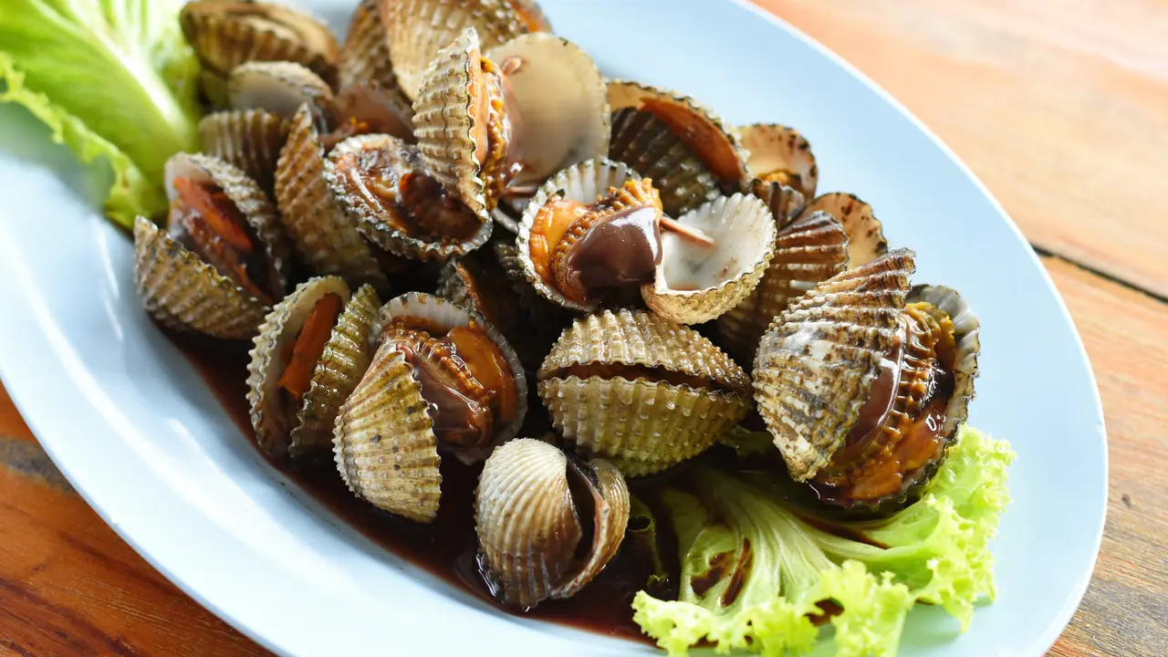 kerang dara