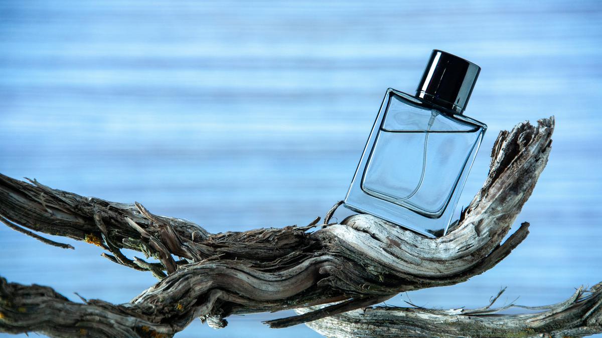 Aroma Parfum untuk Pribadi Kalem: Pilihan Tepat untuk Tampilkan Diri