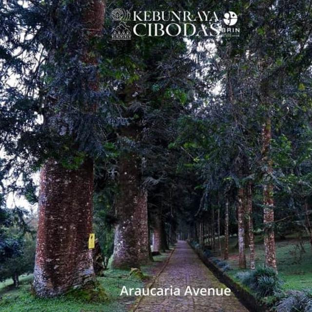 Berlaku Sejak September 2025