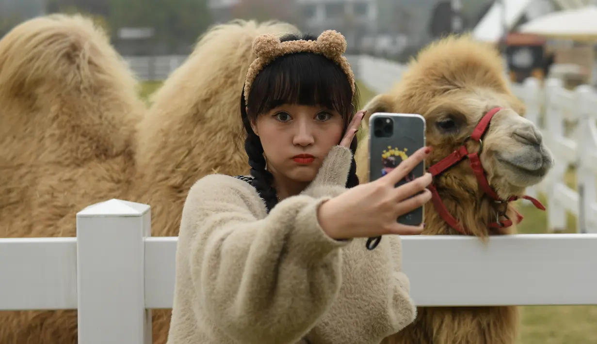 Seorang gadis berswafoto di "Go Farm" di Desa Gucheng, Kota Huzhou, Provinsi Zhejiang, China pada 17 November 2020. "Go Farm", destinasi liburan di desa kuno Gucheng ini telah menarik banyak wisatawan sejak operasional uji cobanya pada Mei tahun ini. (Xinhua/Weng Xinyang)
