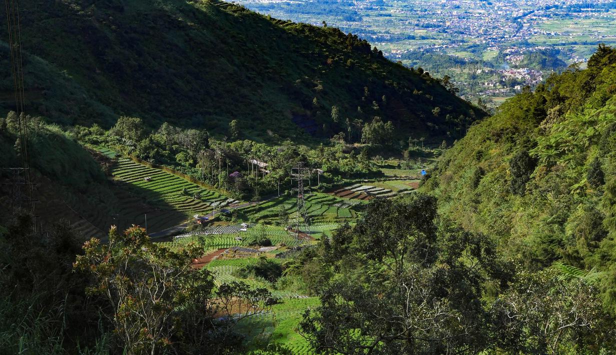 Untuk diketahui, kawasan ini merupakan jalur alternatif penghubung kota Wonosobo dan Dieng, Jawa Tengah. (merdeka.com/Arie Basuki)