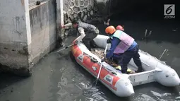 Tim gabungan Damkar, BPBD, dan KLHK dikerahkan untuk mencari keberadaan buaya di Kali Grogol, Jakarta Barat, Kamis (28/6). Hingga saat ini tak seekor pun buaya yang berkeliaran di Kali Grogol, Jalan Jelambar bisa ditangkap. (Merdeka.com/Iqbal S. Nugroho)