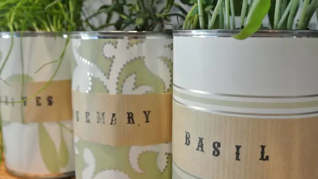 Cara Unik Tempatkan Tanaman Herbal di Rumah