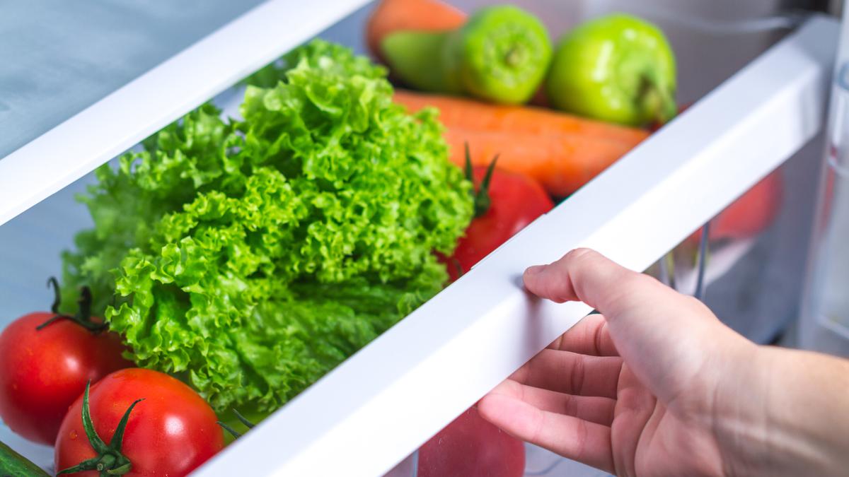 5 Cara Menyimpan Sayur agar Segar Hingga Seminggu, Anti Layu dan Hemat Uang