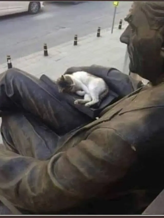 6 Potret Lucu Kucing saat Pose Bareng Patung Ini Bikin Gemas