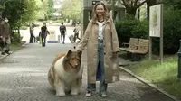 Viral Pria Habiskan Rp 212 Juta untuk Jadi Anjing, Ini Penampakannya