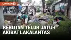 Warga di Banyumas Berebut Ribuan Telur Ayam yang Tumpah Akibat Lakalantas Truk