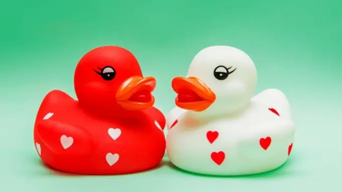 Foto: copyright shutterstock.com