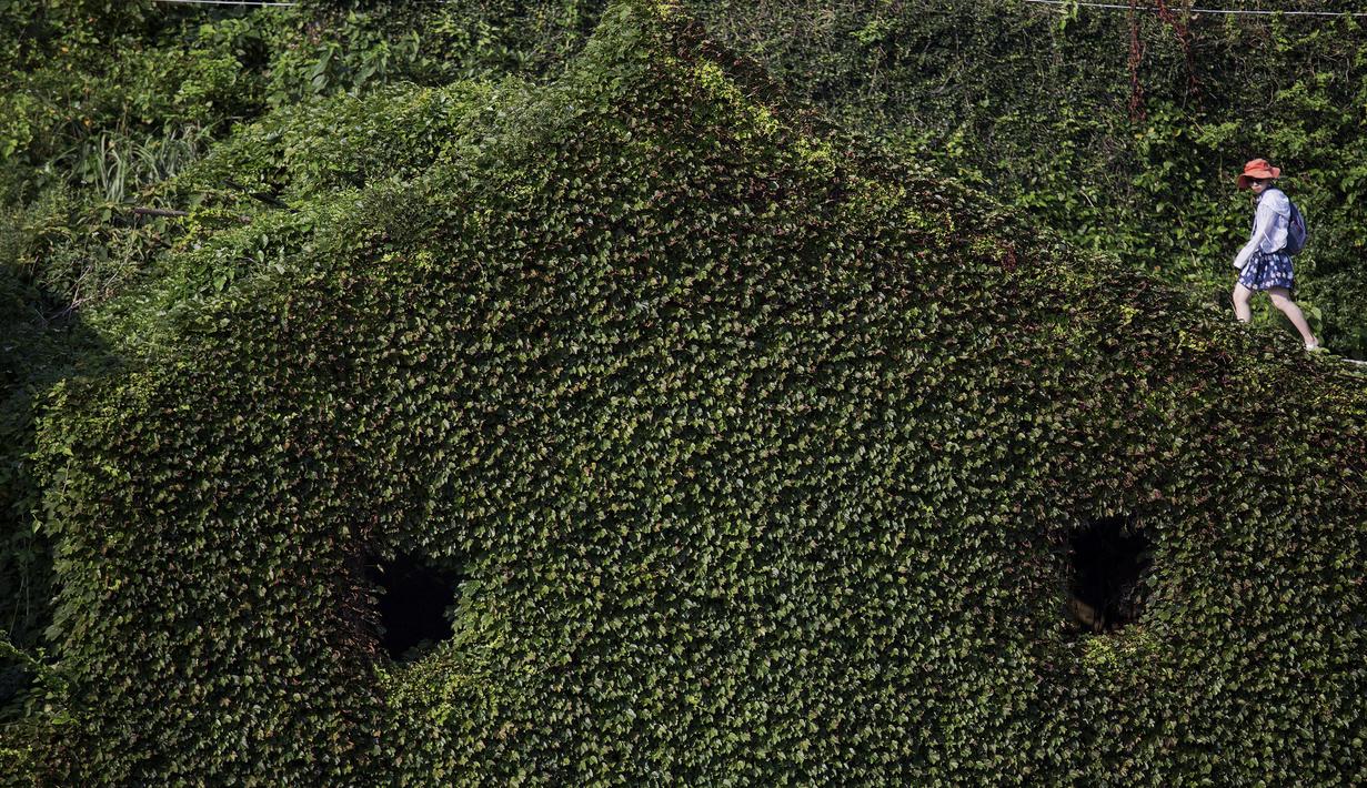 Seorang wisatawan berjalan di sebuah desa yang sudah ditinggalkan penghuninya, di Houtouwan, pulau Shengshan, China, 26 Juli 2015. Desa ini dulunya dihuni lebih dari 2.000 nelayan. (REUTERS/Damir Sagolj)