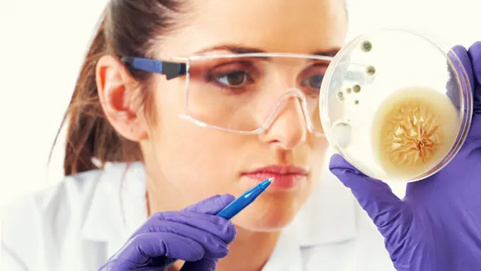 Foto: copyright Shutterstock.com