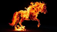 Chinese New Year 2026, Menyongsong Semangat Membara di Tahun Kuda Api