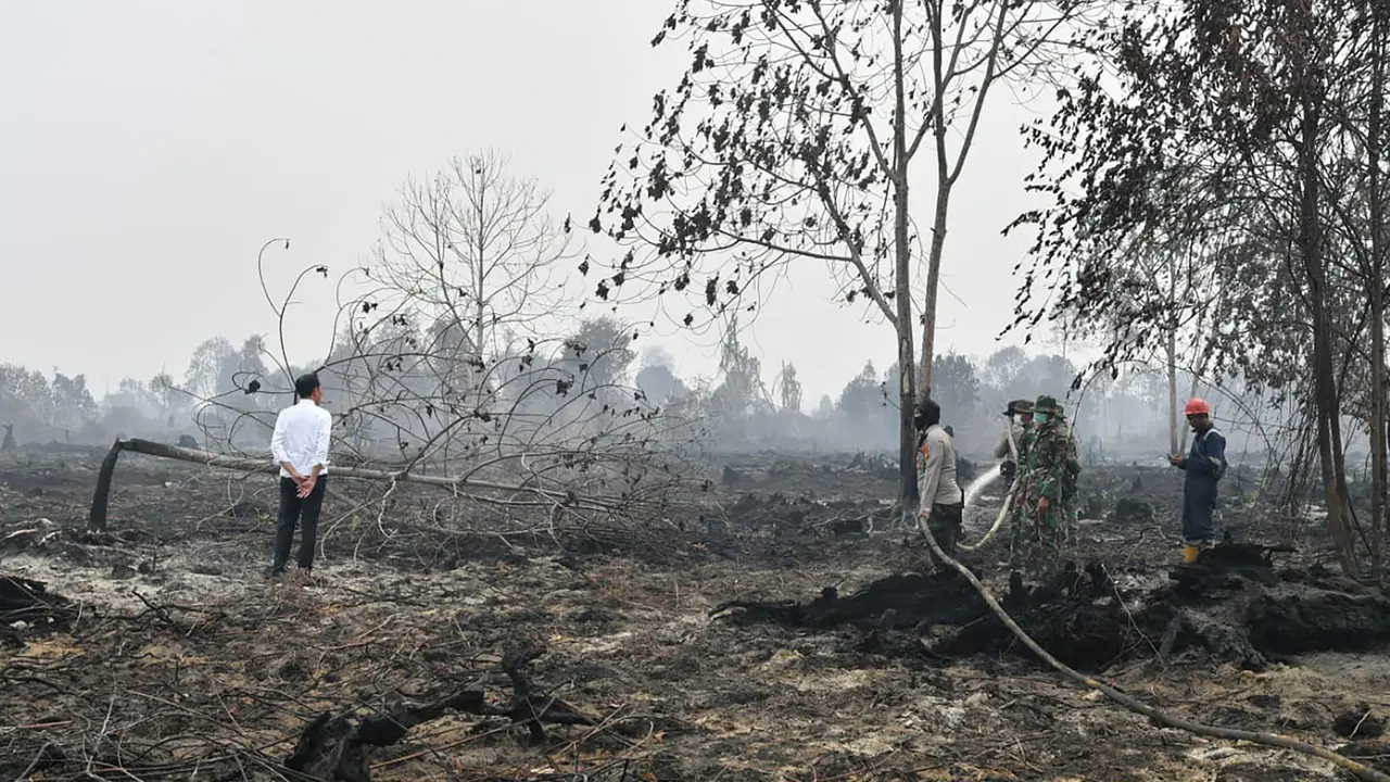 Tanpa Masker, Jokowi Tinjau Lokasi Kebakaran Hutan di Pekanbaru