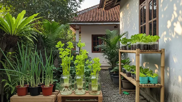 Ide Kebun Sayur Tanpa Modal Awal yang Langsung Bisa Dipraktikkan di Rumah Model Menanam Kembali Sisa Sayur di Dapur
