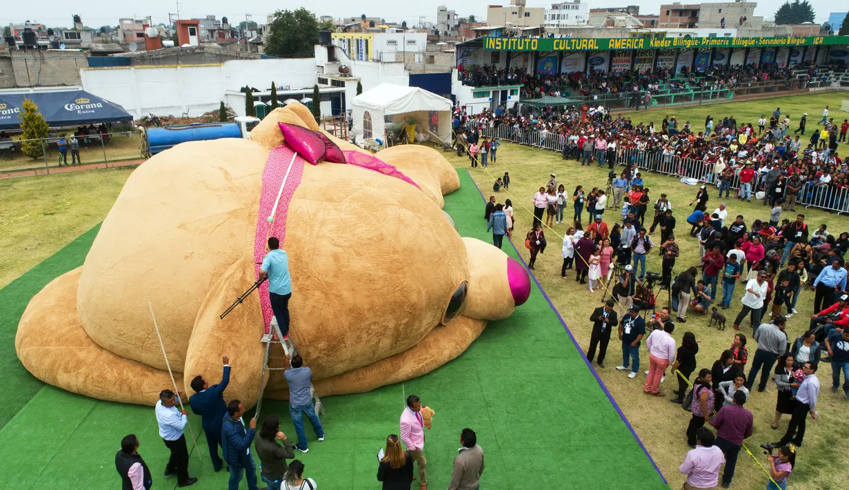 Panitia dibantu pejabat setempat mengukur boneka beruang teddy (Teddy Bear) berukuran raksasa di Xonacatlan, Meksiko (28/4/2019). Boneka berukuran 20 meter persegi dengan berat 4 ton, masuk dalam Guinness Book of World Records. (Mario Vazquez / AFP)