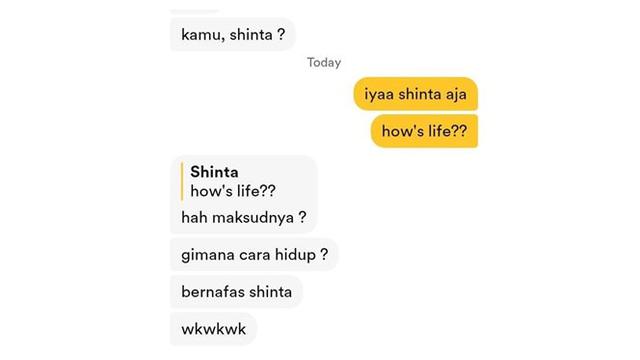 7 Chat Netizen Kenalan Lewat Bumble Ini Kocak Banget, Enggak Habis Pikir