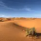 Salju turun dan menyelimuti Gurun Sahara. Apa penyebabnya?  | foto ilustrasi: pexels.com/@greg-gulik-349419