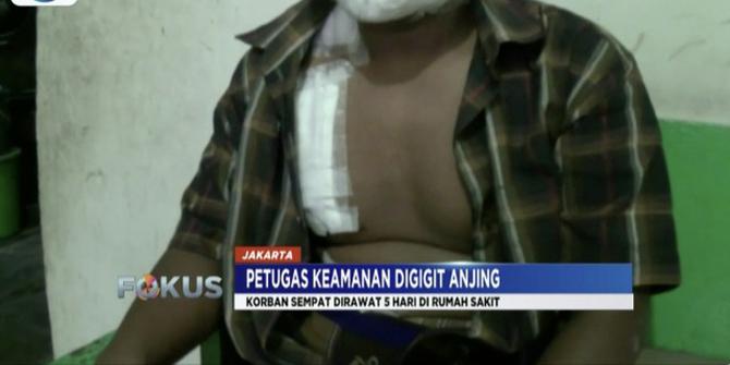 Ini Alasan Korban Digigit Pitbul Laporkan Pemilik Anjing ke Polisi