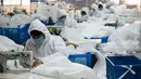 Para pekerja menjahit bahan untuk digunakan membuat pakaian antivirus di pabrik garmen Zhejiang Ugly Duck Industry, di Wenzhou, 28 Februari 2020. Wabah virus corona di China membuat produsen pakaian itu mulai memproduksi baju hazmat yang banyak diburu orang untuk melindungi dirinya. (NOEL CELIS/AFP)