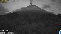 Gunung Semeru erupsi dengan tinggi letusan capai 700 mdpl (Istimewa)