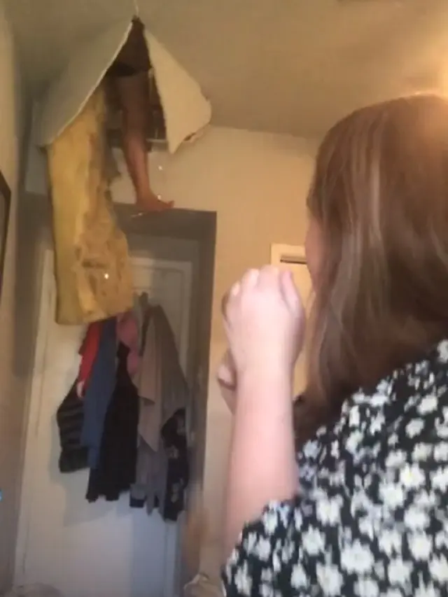 viral tiktok