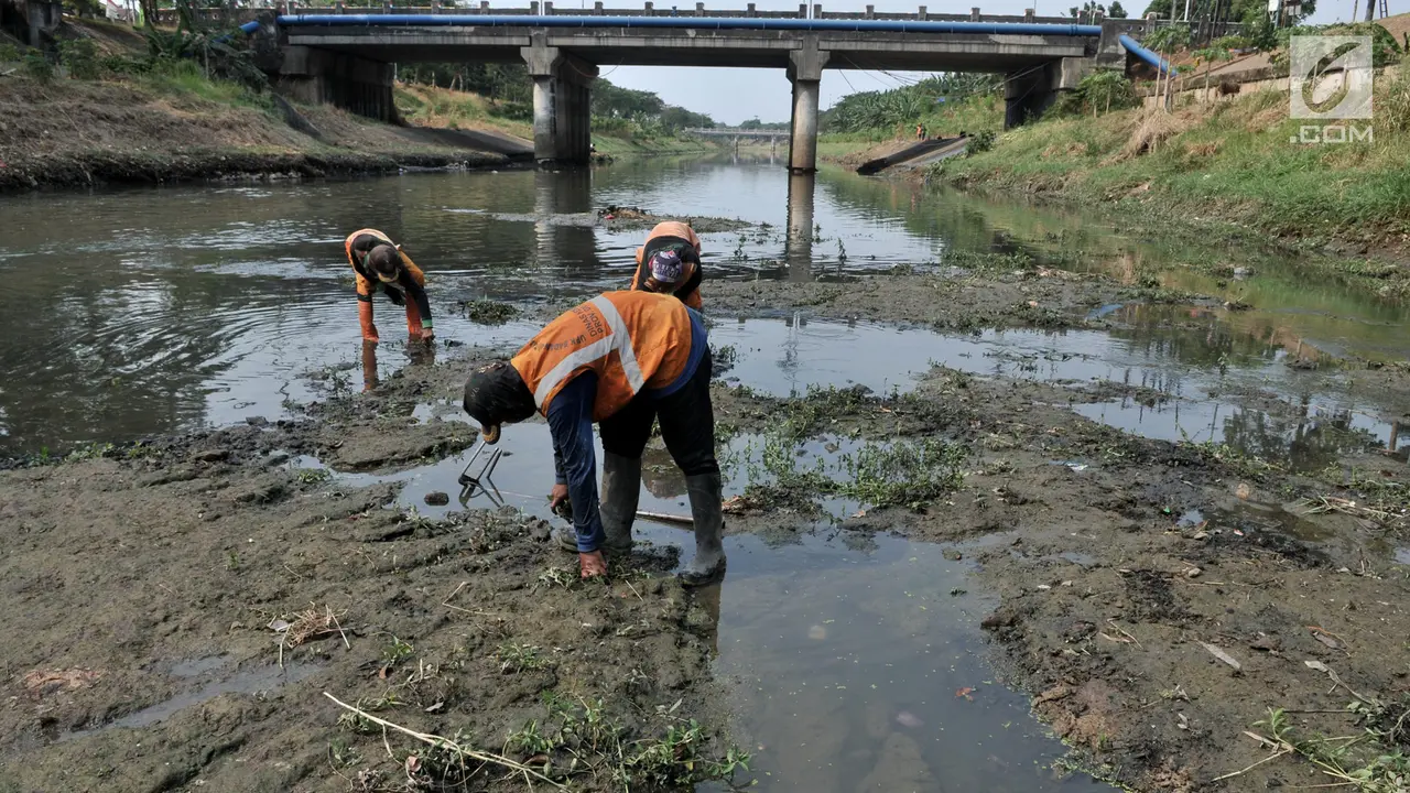 Kemarau Panjang, Debit Air Kanal Banjir Timur Surut