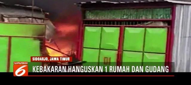 Program Liputan6 Petang - Kumpulan Program Liputan6 Petang 