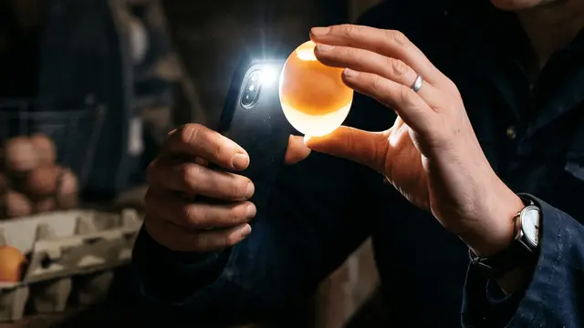 Cara Mengetahui Telur Masih Segar Tanpa Dipecahkan