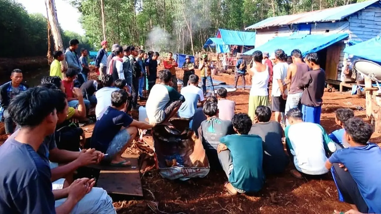 Pekerja hutan tanaman industri di Kabupaten Pelalawan berkumpul setelah satu rekannya diterkam harimau sumatra.