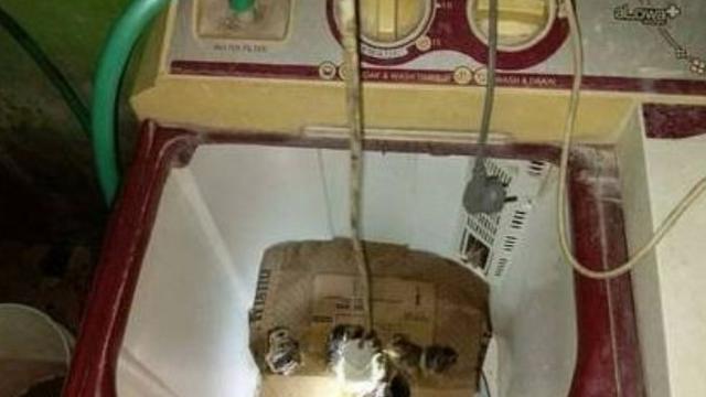 7 Potret Kandang Low Budget Ini Bikin Ngakak