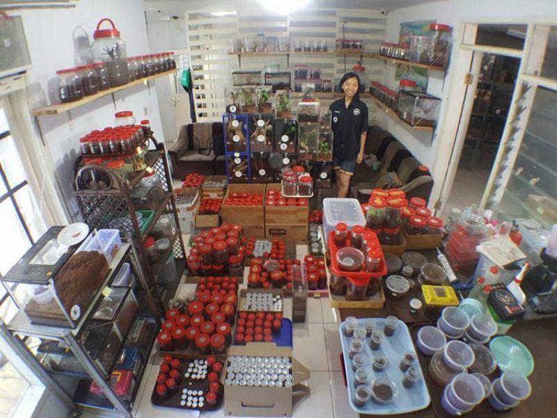 Foto: Oddity Central