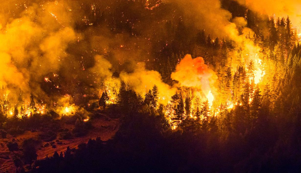 Kebakaran meluas dan menghanguskan ribuan hektare lahan hutan, menimbulkan kekhawatiran serius bagi lingkungan dan keselamatan warga. Tampak dalam foto, kobaran api menghanguskan kawasan hutan di Gunung Pirque, El Hoyo, wilayah Patagonia provinsi Chubut, Argentina pada 7 Januari 2026. (Martin LEVICOY/AFP)