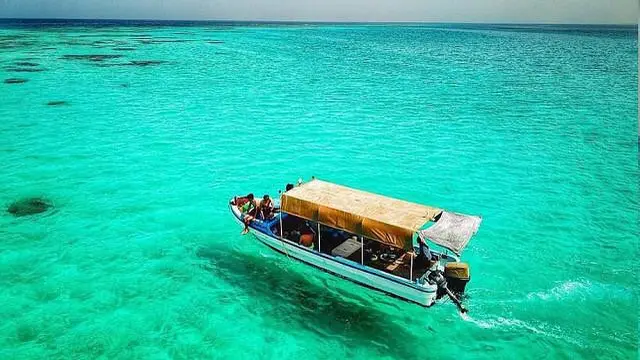 Menyelami Keindahan Terumbu Karang di Umluj (saudiarabiatours.net)