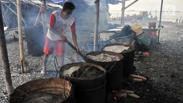 Tangkapan Kerang Menurun