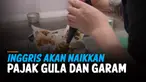 THUMBNAIL pajak