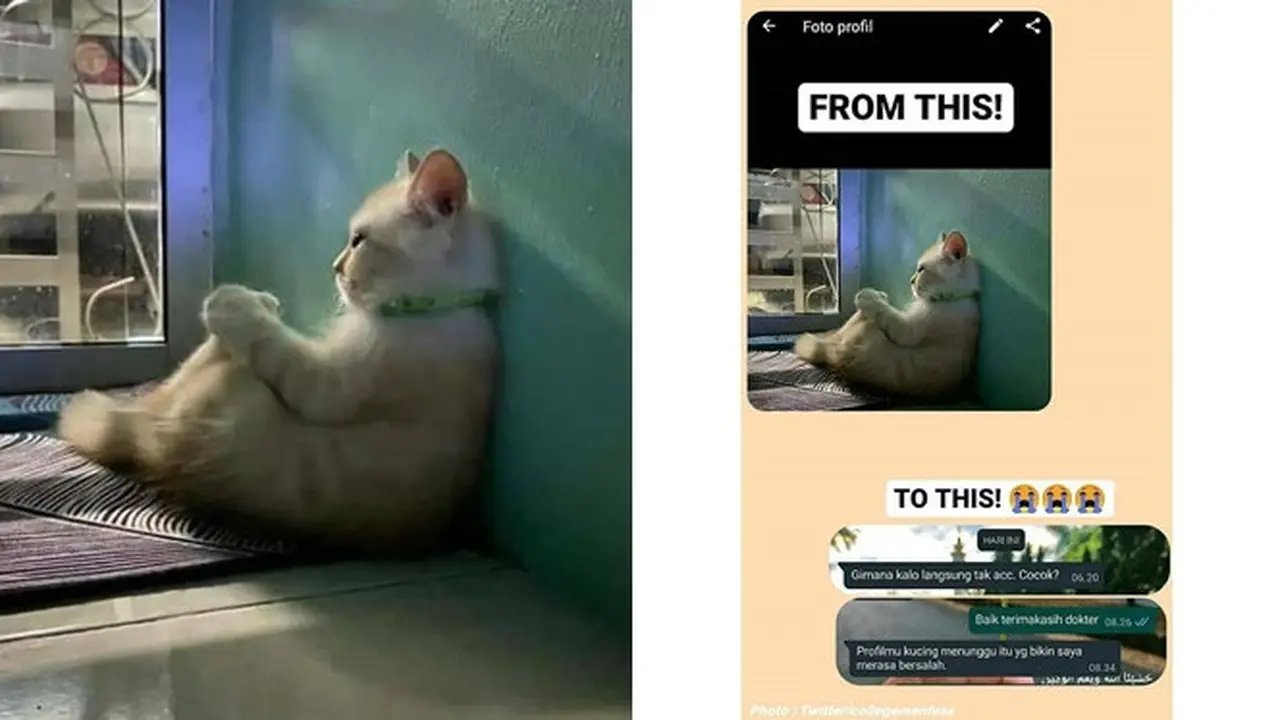 Pasang Foto Begini di WhatsApp, Skripsi Mahasiswa Ini Langsung Disetujui Dosen