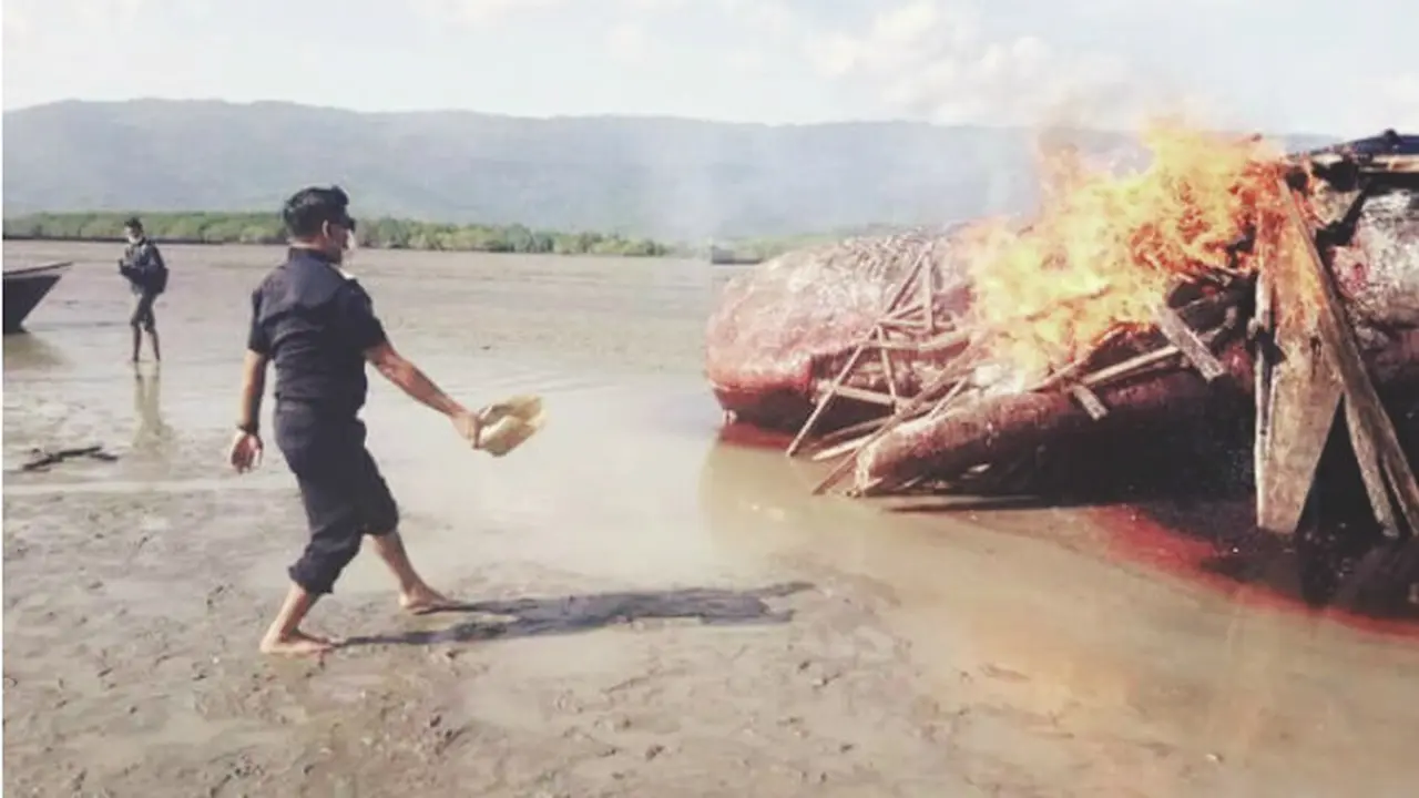 Bangkai Paus Sperma Dibakar