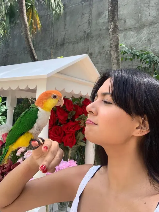 Aurelie Moeremans semakin terlihat menggemaskan saat berpose menatap burung yang ada di tangannya. Foto yang lucu ini mengundang perhatian netizen yang menyebut perempuan kelahiran Brussel, Belgia semakin cantik memesona. (Liputan6.com/IG/@aurelie)