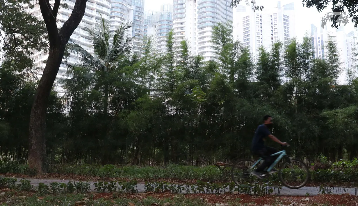Warga melakukan aktivitas olahraga di kawasan Taman Hutan Kota Kemayoran, Jakarta, Selasa (16/6/2020). Aktivitas olahraga dipercaya mampu meningkatkan serta menjaga imunitas dan kesehatan tubuh terutama di masa pandemi COVID-19. (Liputan6.com/Helmi Fithriansyah)