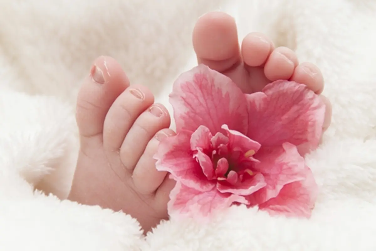 Foto: copyright thinkstockphotos.com