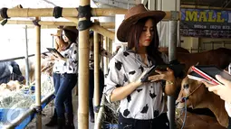 Sejumlah wanita cantik berpakaian ala koboi  siap layani calon pembeli di Mall Hewan Qurban milik Haji Doni di kawasan Depok, Jawa Barat, Selasa (8/9/2015). Kehadiran mereka untuk menarik calon pembeli hewan qurban. (Liputan6.com/Yoppy Renato) 