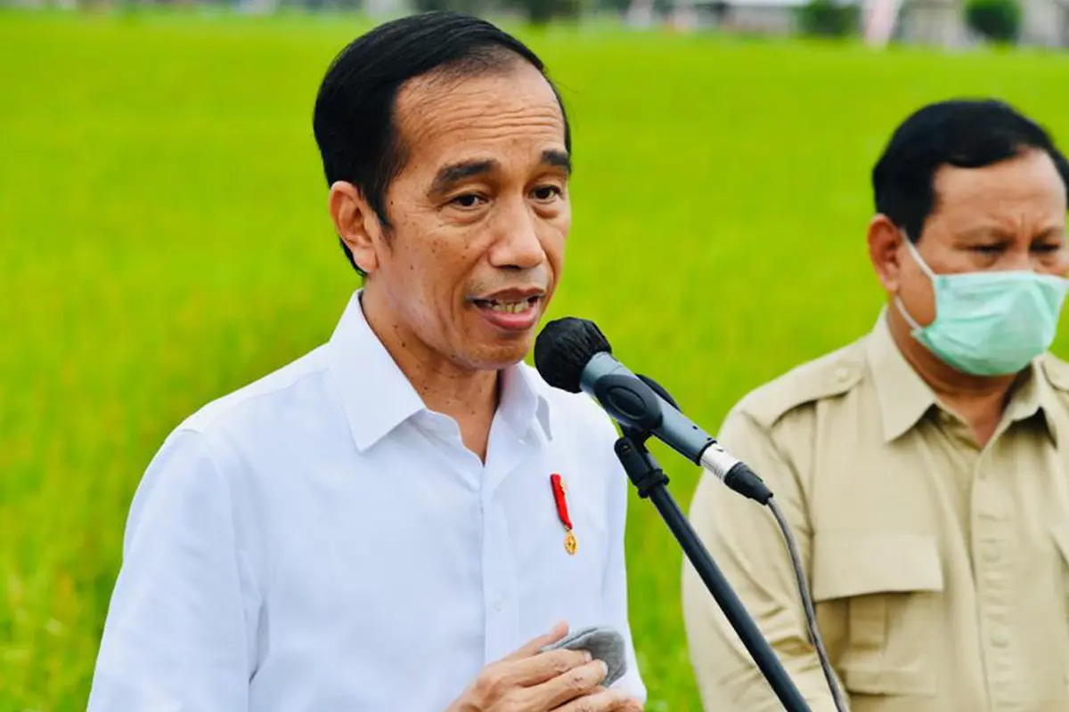 Presiden Jokowi Tinjau Lahan untuk Lambung Pangan Nasional