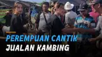 Seorang perempuan cantik jualan kambing di pasar.
