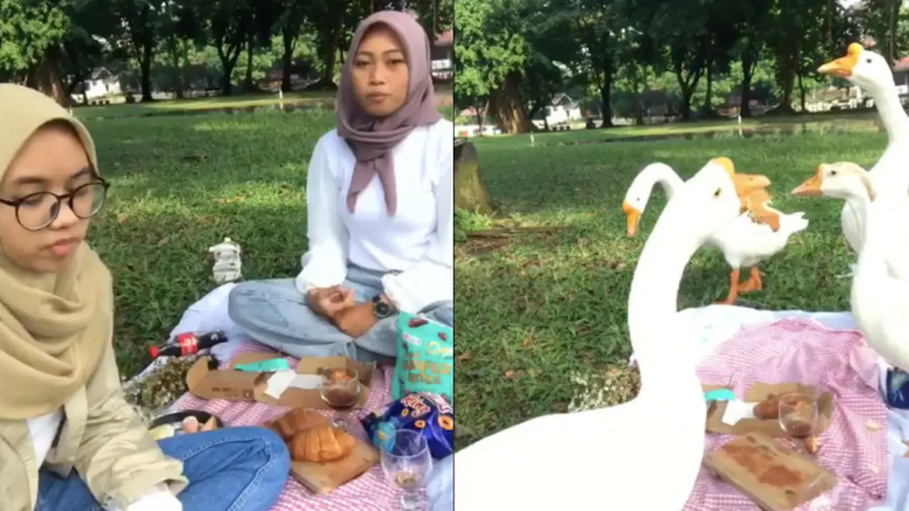 Viral Piknik Estetik Berujung Apes, Diserbu Oleh Angsa dan Rusa