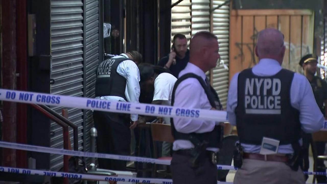 Fatal Shooting at Taste of the City Lounge in Brooklyn: 3 Dead, 8 Injured